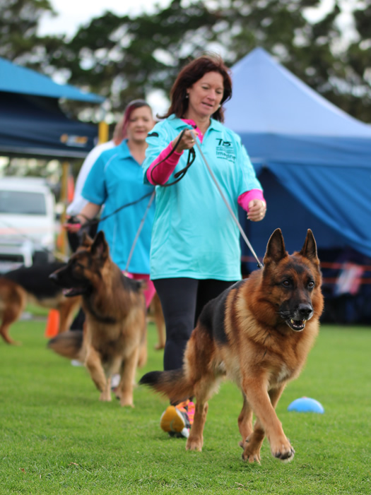 Ustinov vom Romerland